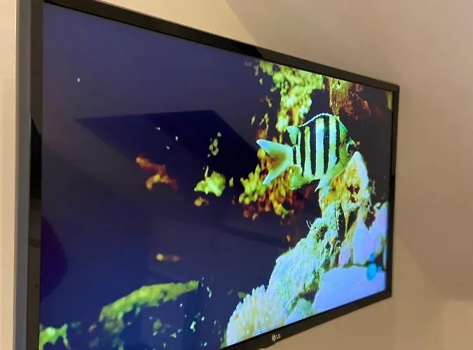 Marviva 3* Коркубион